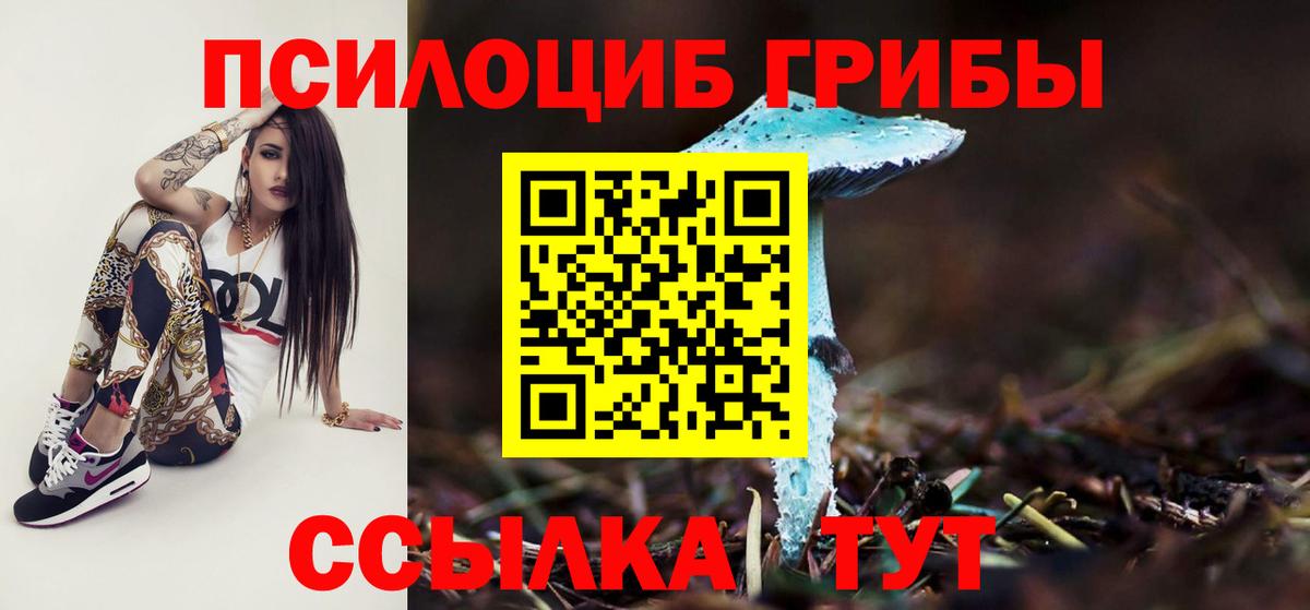 Галлюциногенные грибы Psilocybe Владикавказ